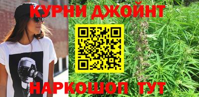 трава Кандалакша